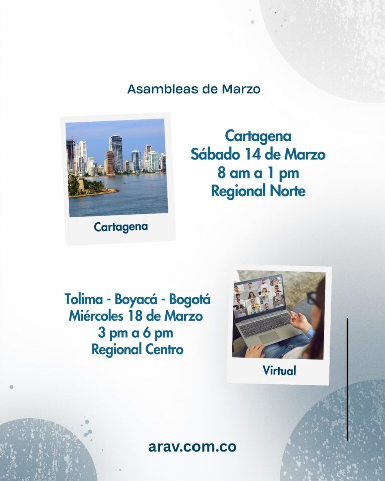 3ASAMBLEAS INFORMATIVAS ARAV