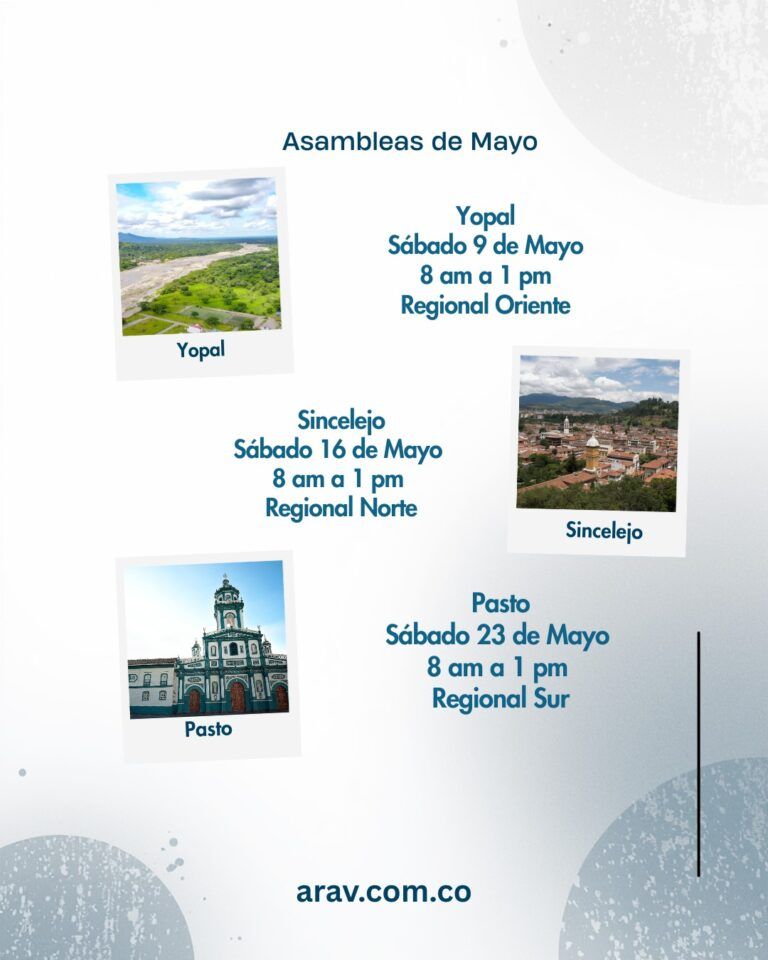 5ASAMBLEAS INFORMATIVAS ARAV